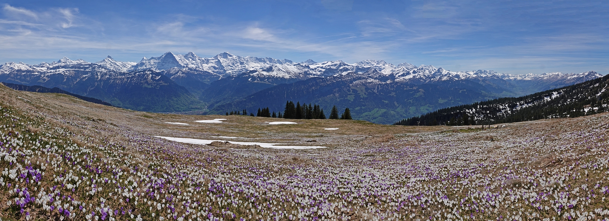 « zurück / Foto: F.Bieri