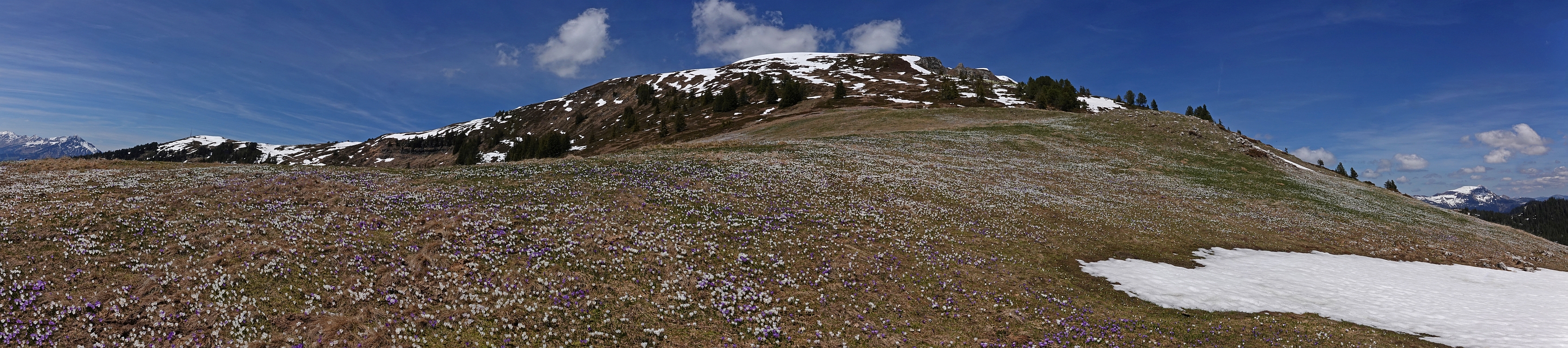 « zurück / Foto: F.Bieri