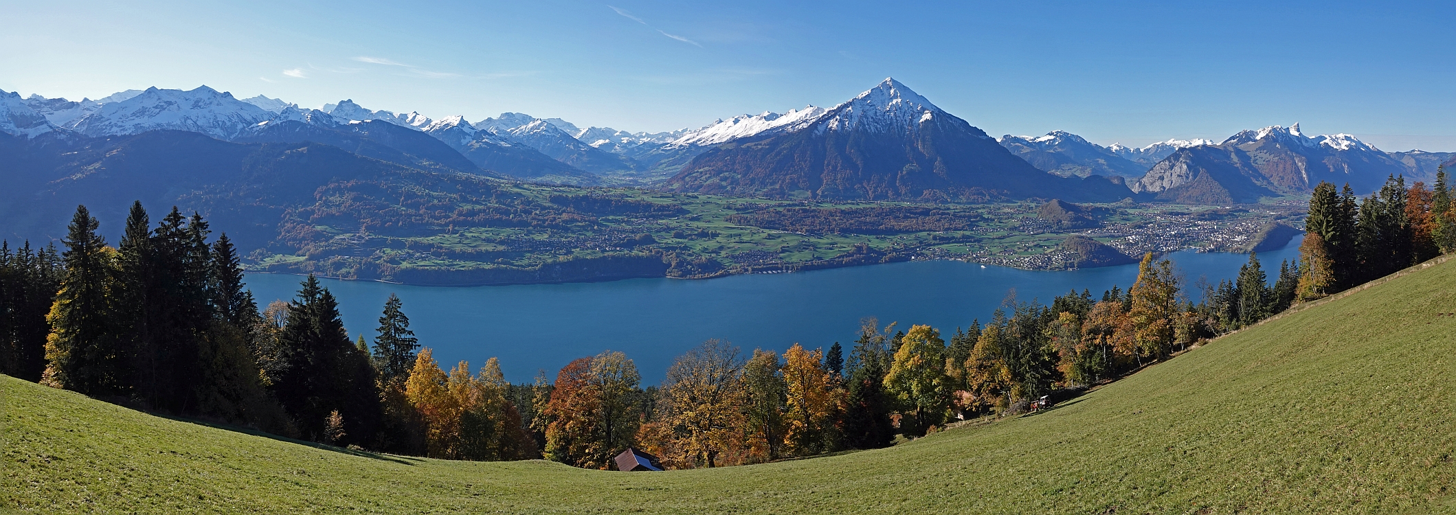 « zurück / Foto: F.Bieri