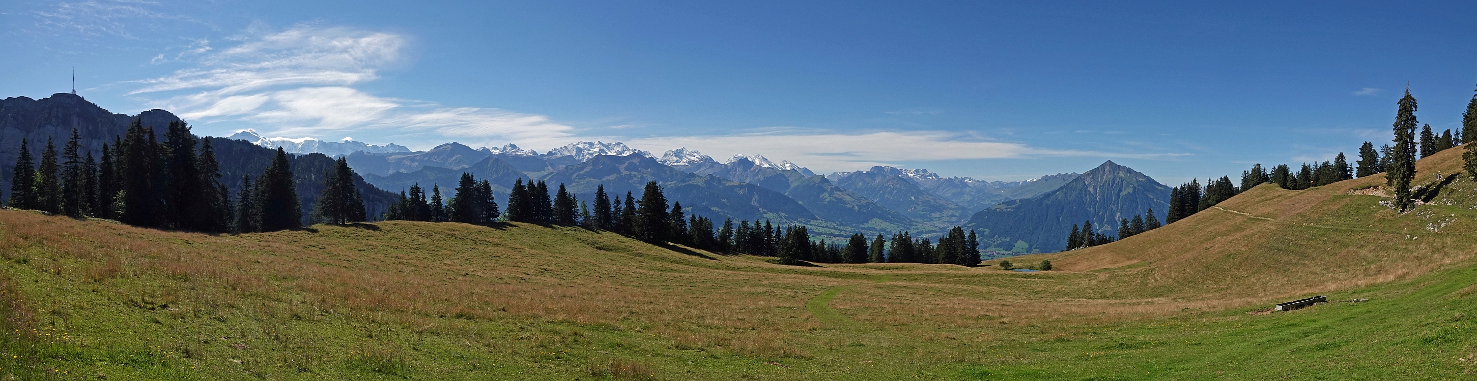 « zurück / Foto: F.Bieri