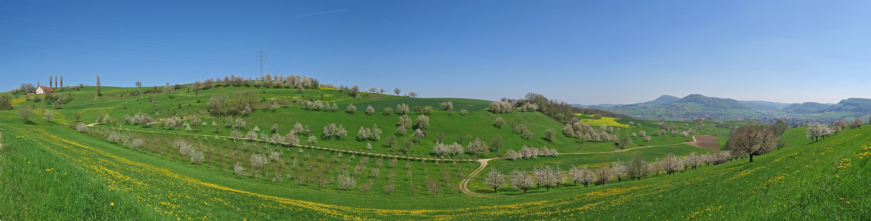 « zurück / Foto: F.Bieri