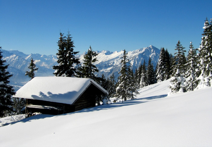 Winter (Bild: Fritz Bieri)