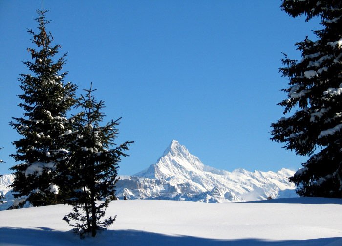 Winter (Bild: Fritz Bieri)