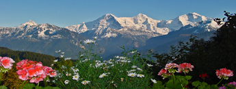 » Jungfrau von Beatenberg / Foto: H.Rieder