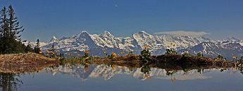 » Brienzerrothorn Bahn