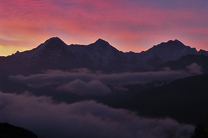 Jungfraumassiv / Foto: Heinz Rieder