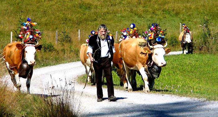 Alpiglen bis Waldegg 1 Stunde / Foto: Fritz Bieri