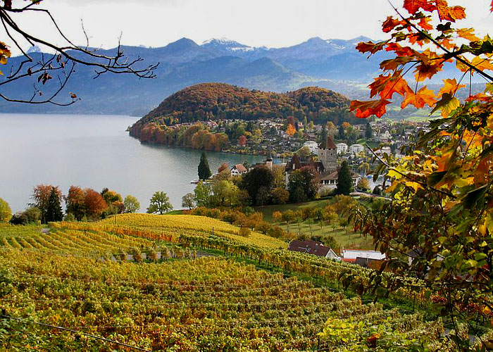The spectacular Region of Beatenberg (Berner Oberland, Switzerland ...