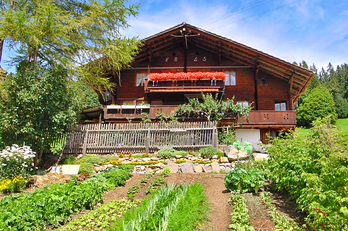 Chalet Steinen / Photo: Heinz Rieder